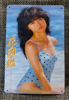 ☆竹本孝之【陽あたり良好！】水着ポスター昭和☆ - メルカリ