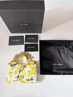 2026年最新】D&G ／ Dolce＆Gabbana レディース スマホショルダー 