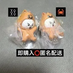 スキズ SKZOO つまんでつなげてますこっと リービット Leebit