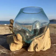 流木ガラスMNY オブジェ 花瓶 多肉植物 金魚鉢 バリ島アート作品 テラリウム