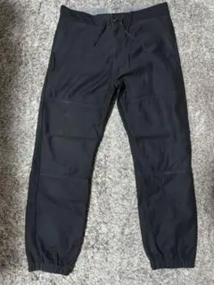 Carhartt Marshall Jogger pants