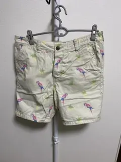 Hollister ショートパンツ 32インチ