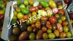 シェリー.Yさま専用ページのサムネイル