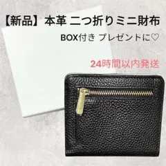 Item thumbnail for item 1a556465-b336-4a4e-9e99-91958086a85f