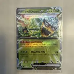 オーガポン みどりのめんex RR SV8a テラスタルフェスex 020/187