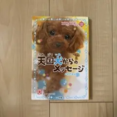 Item thumbnail for item 9e5cadfe-676b-4356-84eb-c9c793f5204f