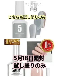 GAOY+シルバーグレーマグネットネイルの2本セット
