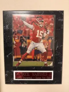 Item thumbnail for item 2798b27a-80af-4550-9d25-b8fe19812755