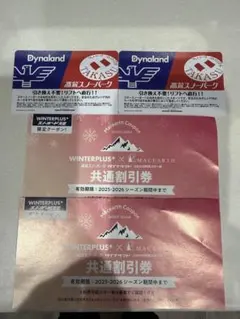 2026年最新】高鷲スノーパークの人気アイテム - メルカリ