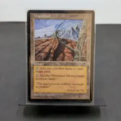 MTG 吹きさらしの荒野 英語版 Windswept Heath - メルカリ