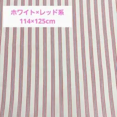 播州織　綿100%　ストライプ柄　レッド×パープル×ホワイト　手芸用　布