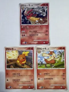 アチャモ・ワカシャモ・バシャーモ 進化順✨