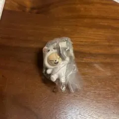 SKZOO つまんでつなげてますコットフォクシニー