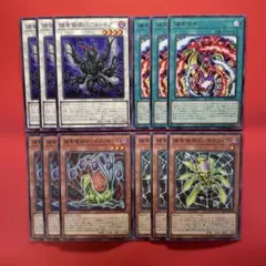 遊戯王　捕食植物　新規デッキパーツセット　各3枚　BLZD