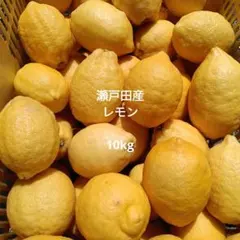 訳あり】☆瀬戸田レモン☆ 10キロ(箱込み) 広島県産 産地直送 - メルカリ