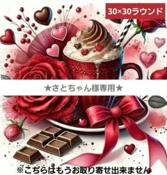 さとちゃん様 リクエスト 2点 まとめ商品