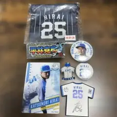平井克典 応援グッズセット