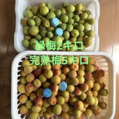 梅7キロ(緑梅2キロ・完熟梅5キロ)のサムネイル