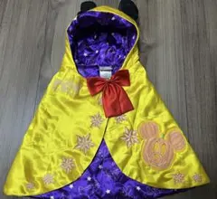 ディズニーランド ハロウィンポンチョ　かぼちゃミッキー　ディズニーストア