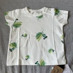 【完売品！タグ付】昆虫Tシャツ　カマキリInsect Collection 総柄