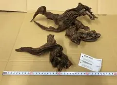 ADA ホーンウッド　HORN WOOD M　未使用品　15本セット　箱売り ADA ホーンウッド HORN WOOD M 未使用品 ① ADA ホーンウッド