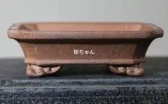 盆栽鉢　　中国宜興　希少品　　複数落款　　早い者勝ち 盆栽鉢 中国宜興 希少品 複数落款 早い者勝ち 2025年最新】盆栽鉢