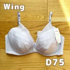 ワコール Wing マッチミーブラ D75 ブラジャー ウイング VI