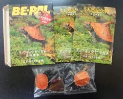 2026年最新】古いビーパルの人気アイテム - メルカリ