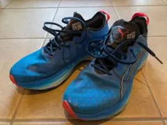 フォーエバーランニトロ