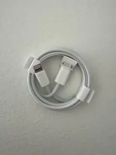 USB-C to Lightning 充電ケーブル