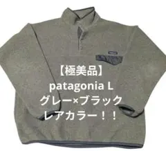 【極美品】patagonia L グレー×ブラック シンチラスナップT
