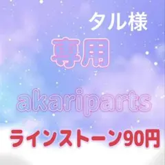 タル様専用ページ