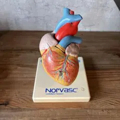 Item thumbnail for item f610bfaa-095d-499c-8bed-457df03cf1ea