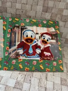 ディズニー ランド クリスマス 2019 ドナルド デイジー フォトファン 写真