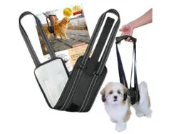 Item thumbnail for item 9703eea0-ee87-4701-b61f-86364426ffc0