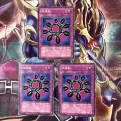 遊戯王　破壊輪　ノーマル SK2-038 3枚