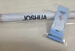 seventeen タペストリー フラッグキーホルダージョシュア