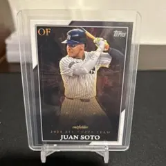 だち様 リクエスト 3点 まとめ商品