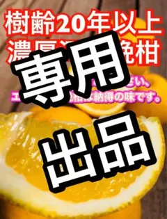 みやび様専用