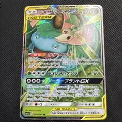 ポケモンカード フシギバナ&ツタージャGX タッグチーム RR - メルカリ