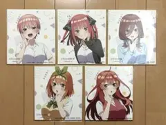 五等分の花嫁展Message 色紙コンプセット