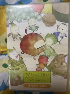 やさいのようせい N.Y. SALAD げんきいっぱい DVD 原田知世