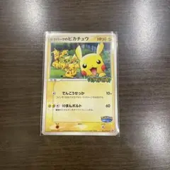 ト*キ様 ポケモンカード ポケパークのピカチュウ ポケパークのピカチュウ(未開封)【P】{043/PCG-P}