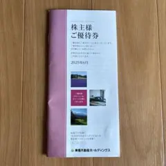 東急不動産ホールディングス株主優待券　最新版