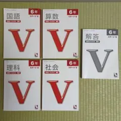 ★希少★日能研6年後期ステージV 難問テキスト