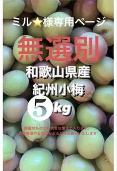 ミル⭐️様専用ページ 無選別 紀州小梅5kg