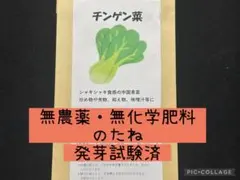 ロデム様 リクエスト 2点 まとめ商品