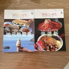 Item thumbnail for item 1fabd0a0-9aa9-4d61-89ee-c9b59f31209a