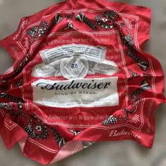 Item thumbnail for item 70949d9b-3cf6-44f1-a68c-2343a2ef6337