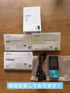 SONY ウォークマン NW-A35HN 16GB ケース・録音ケーブル付 - メルカリ